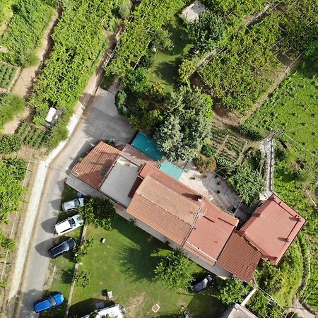 Agriturismo Mare E Monti Pensionat Tramonti Eksteriør billede