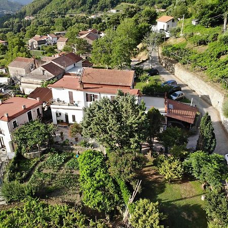 Agriturismo Mare E Monti Pensionat Tramonti Eksteriør billede