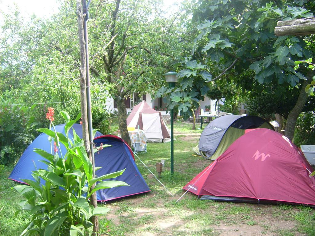 Agriturismo Mare E Monti Pensionat Tramonti Eksteriør billede