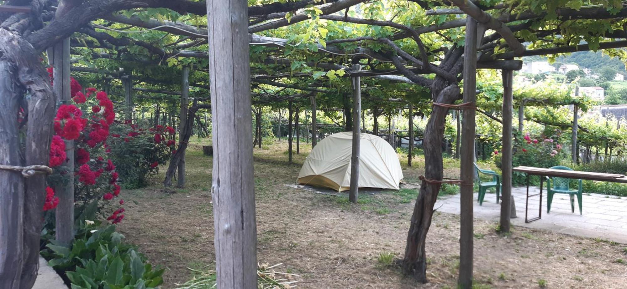 Agriturismo Mare E Monti Pensionat Tramonti Eksteriør billede