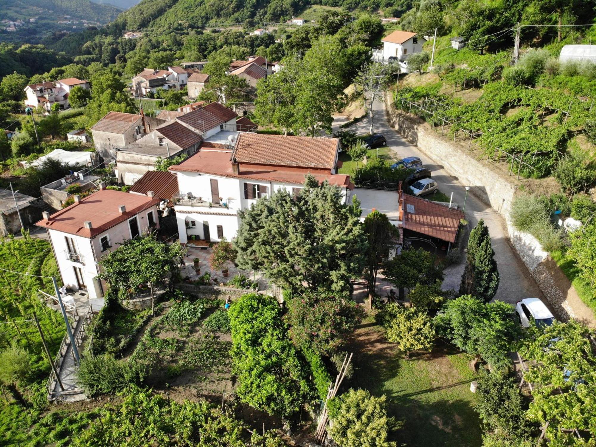 Agriturismo Mare E Monti Pensionat Tramonti Eksteriør billede