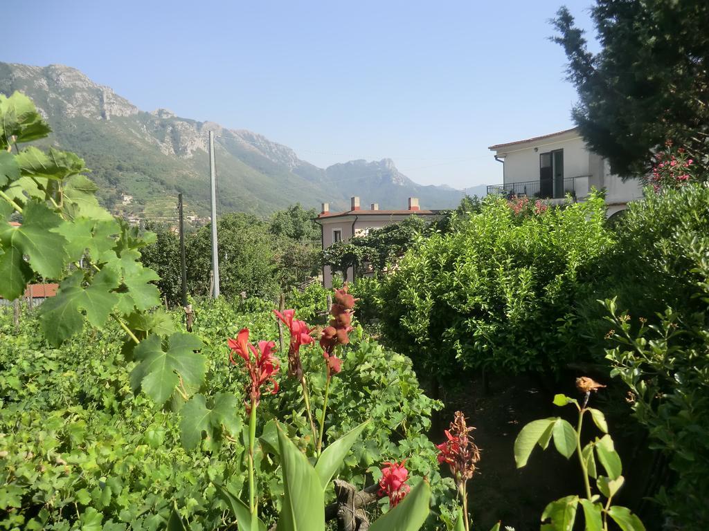 Agriturismo Mare E Monti Pensionat Tramonti Eksteriør billede