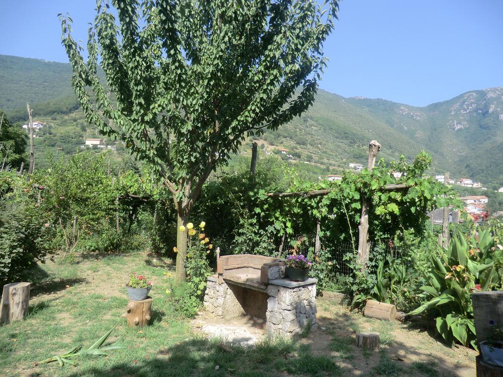 Agriturismo Mare E Monti Tramonti Eksteriør billede
