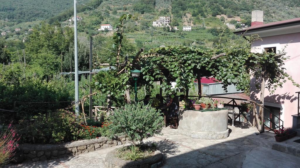 Agriturismo Mare E Monti Pensionat Tramonti Eksteriør billede