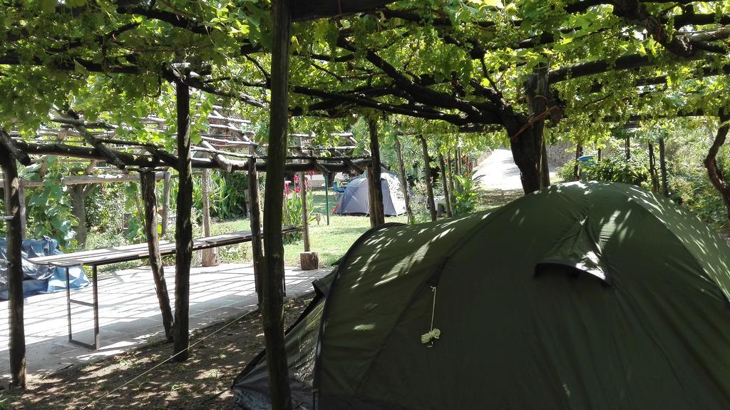 Agriturismo Mare E Monti Pensionat Tramonti Eksteriør billede