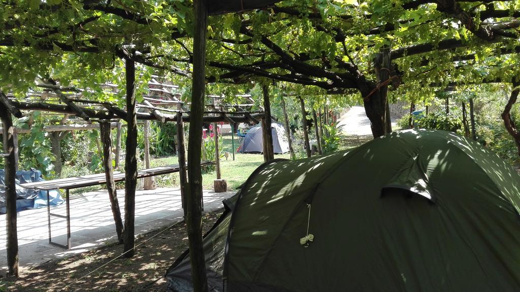 Agriturismo Mare E Monti Tramonti Eksteriør billede