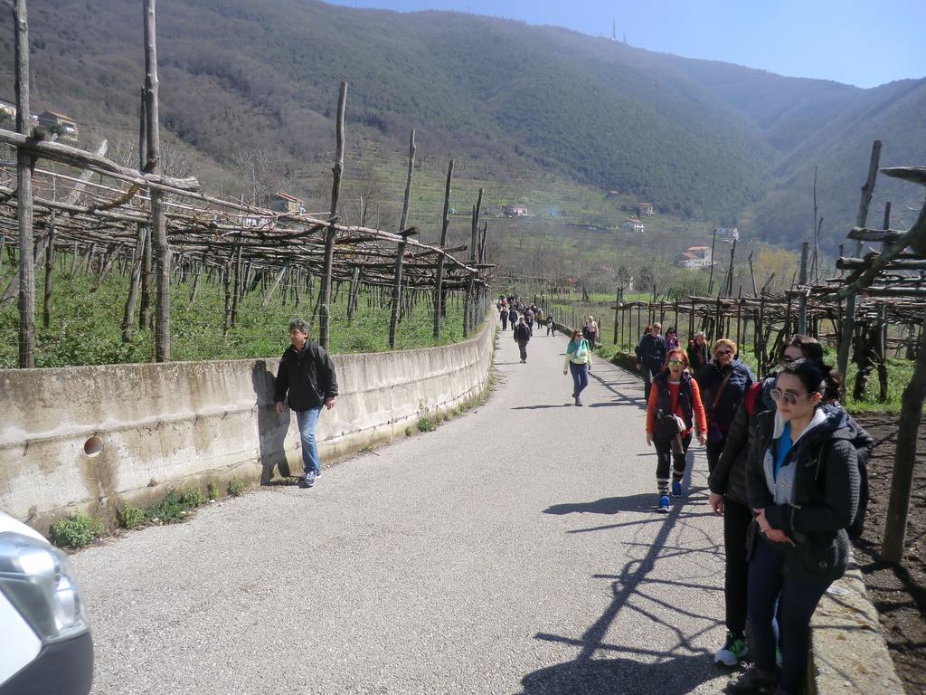 Agriturismo Mare E Monti Pensionat Tramonti Eksteriør billede