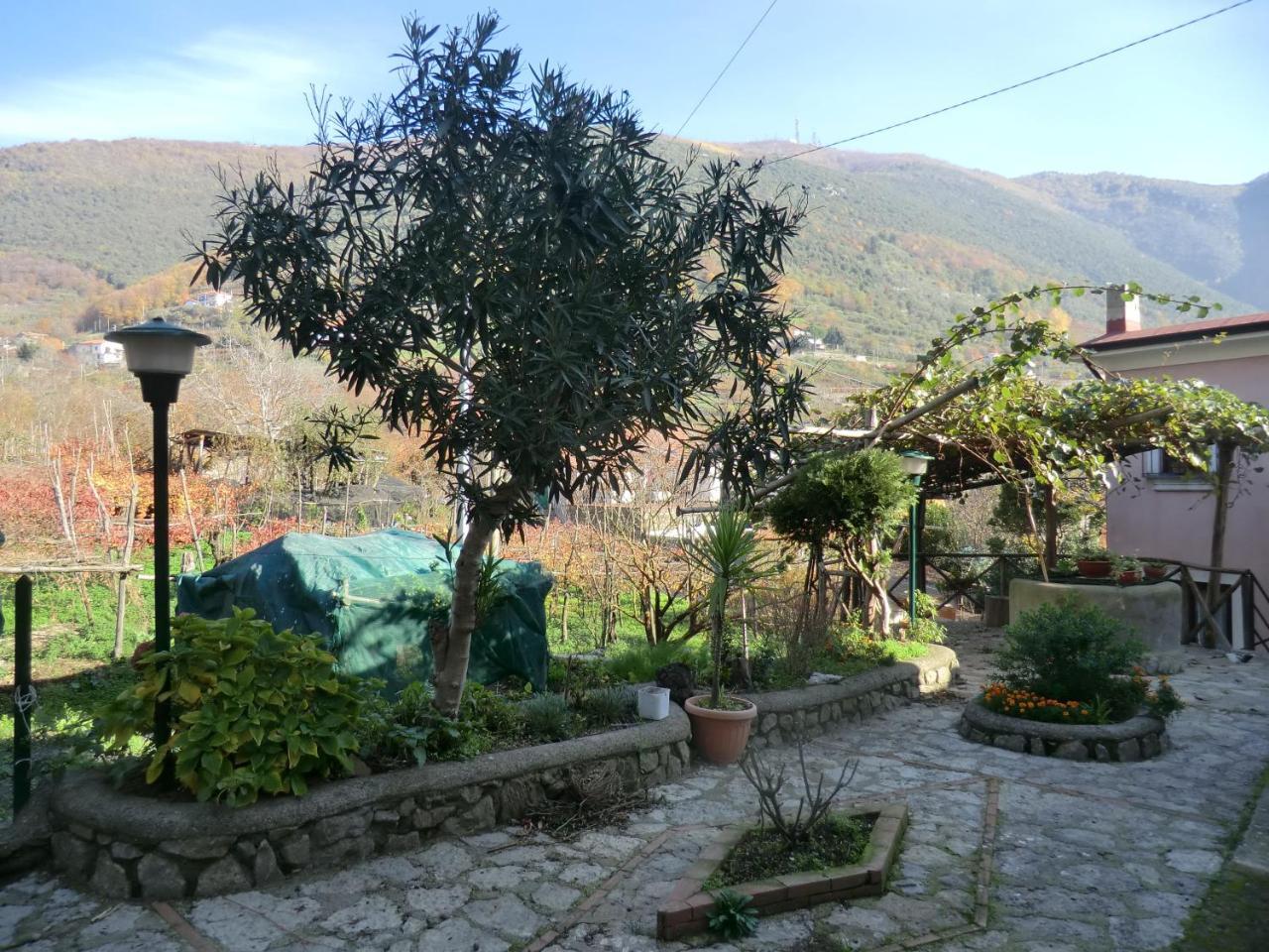 Agriturismo Mare E Monti Pensionat Tramonti Eksteriør billede